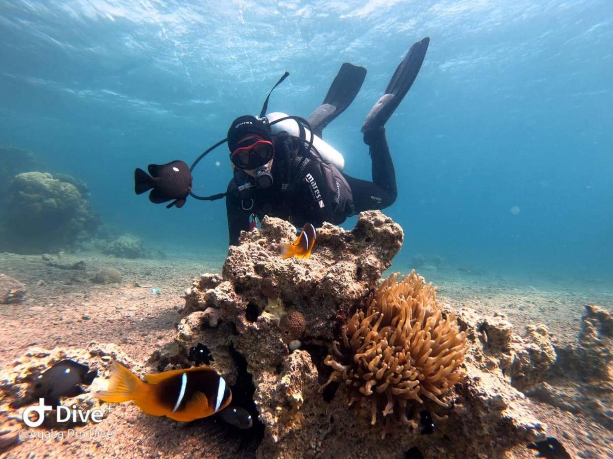 Aqaba Pro Divers エクステリア 写真
